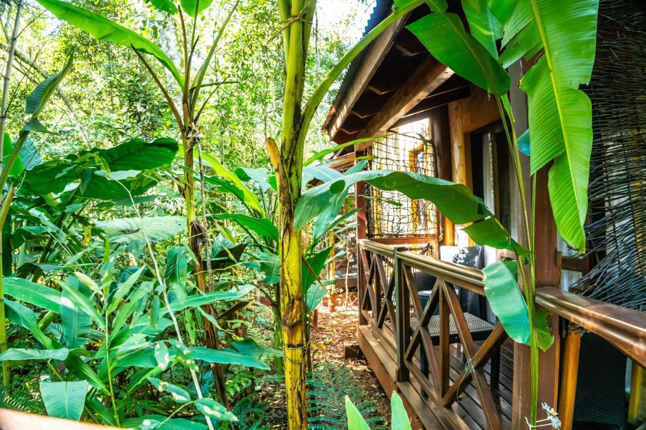 Selva De Laurel Hotel Puerto Iguazú Exterior foto